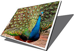 LAPTOP SCREEN