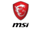 MSI LCD codes