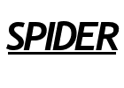 Spider screen