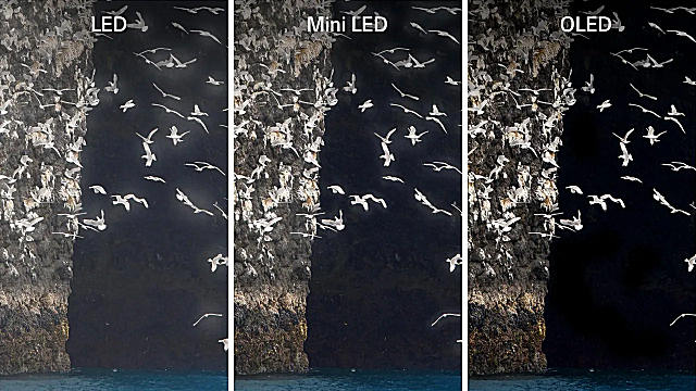 WLED vs Mini-LED vs OLED laptop screen technology comparison